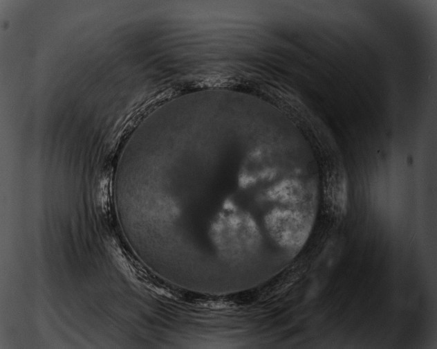 X0000051890503200507020059