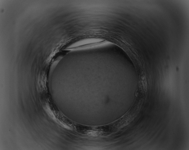 X0000051890504200507020059