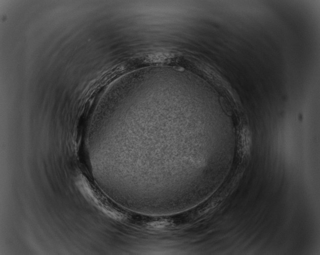 X0000051890505200507020059