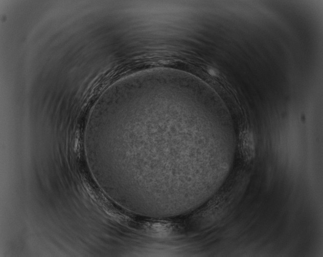 X0000051890506200507020059