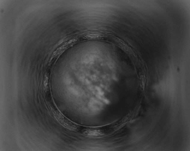 X0000051890507200507020059