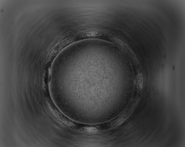 X0000051890509200507020059