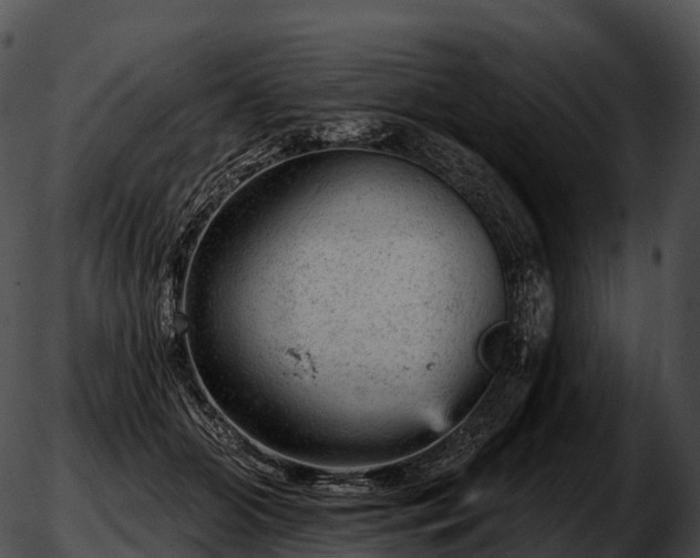 X0000051890510200507020059