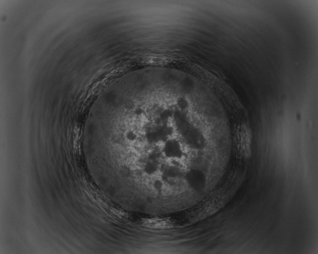 X0000051890511200507020059