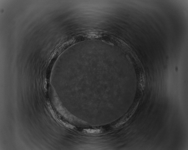 X0000051890512200507020059