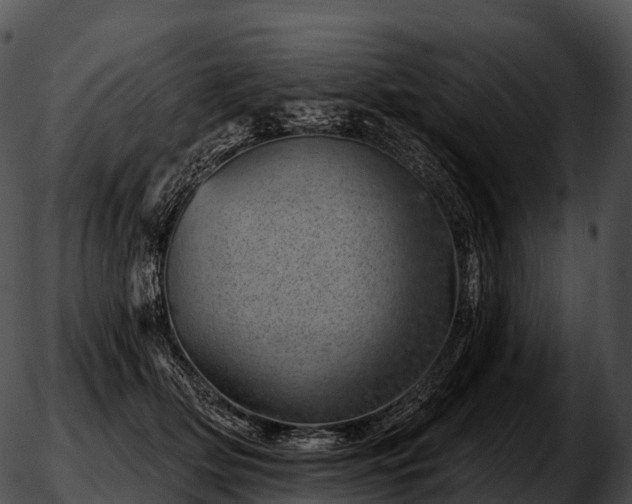 X0000051890514200507020059