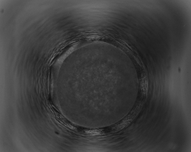 X0000051890516200507020059