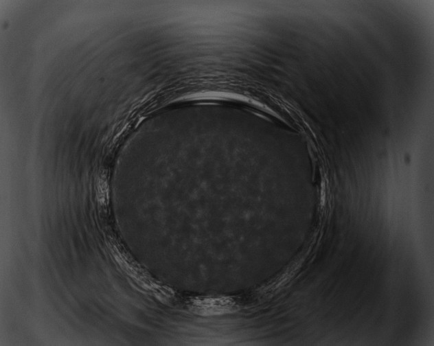 X0000051890517200507020059