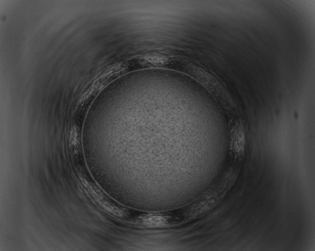 X0000051890518200507020059