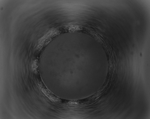 X0000051890519200507020059