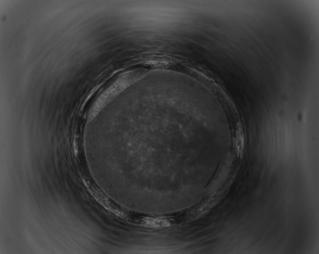 X0000051890520200507020059