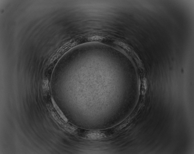 X0000051890521200507020059