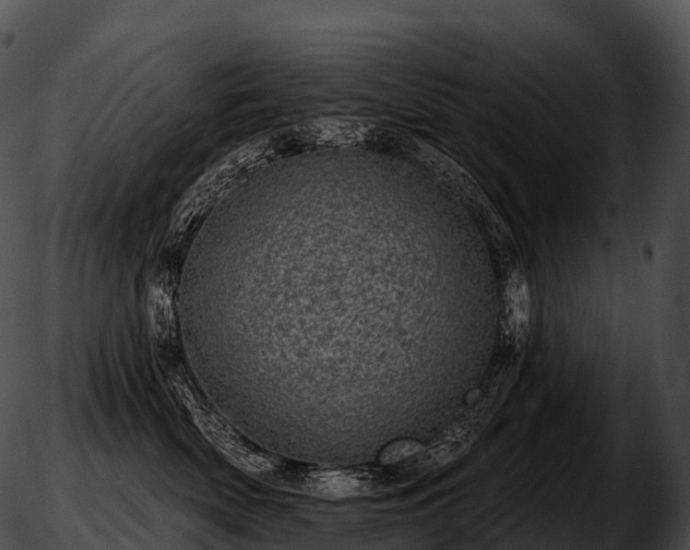 X0000051890522200507020059