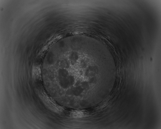 X0000051890523200507020059