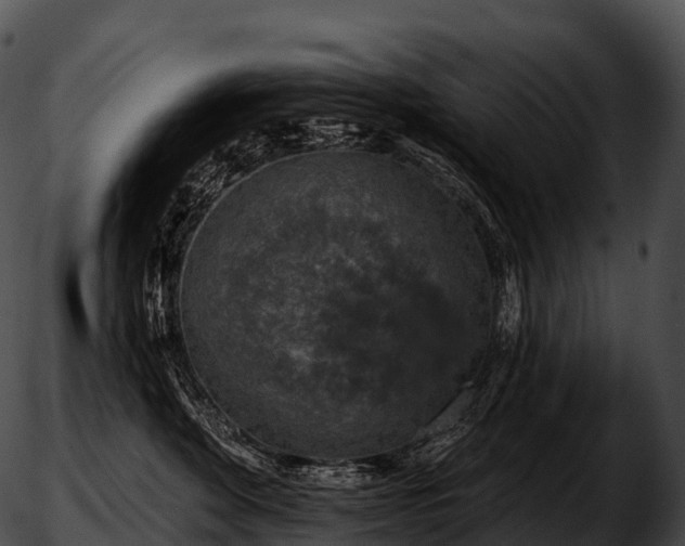 X0000051890524200507020059