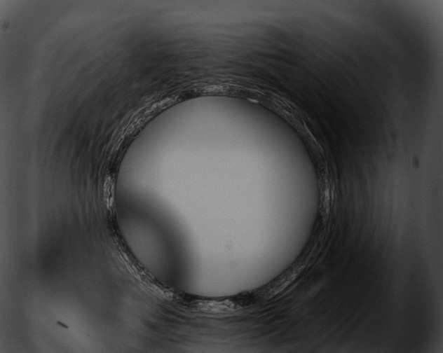 X0000051890525200507020059