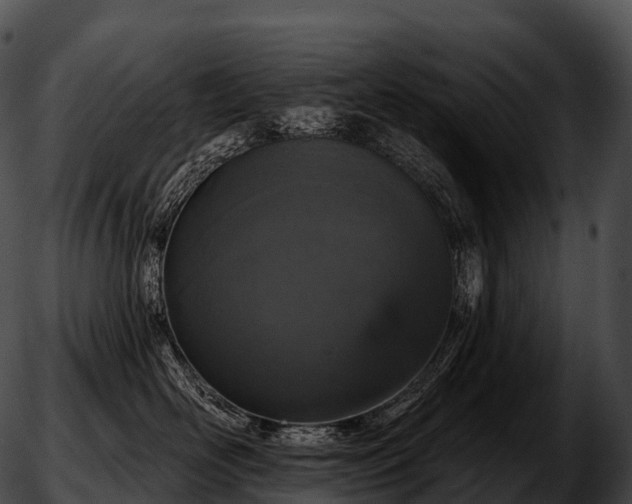 X0000051890526200507020059