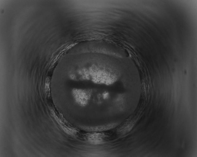 X0000051890527200507020059