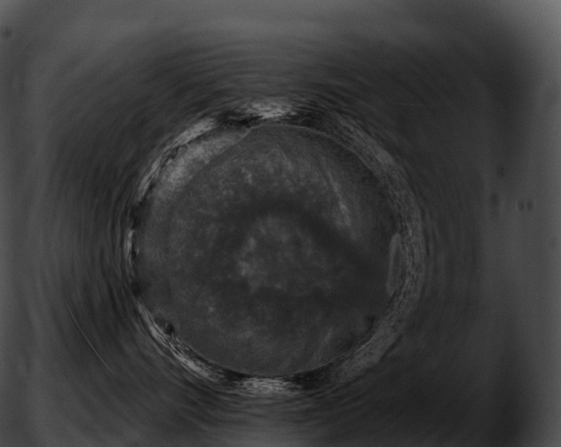 X0000051890528200507020059