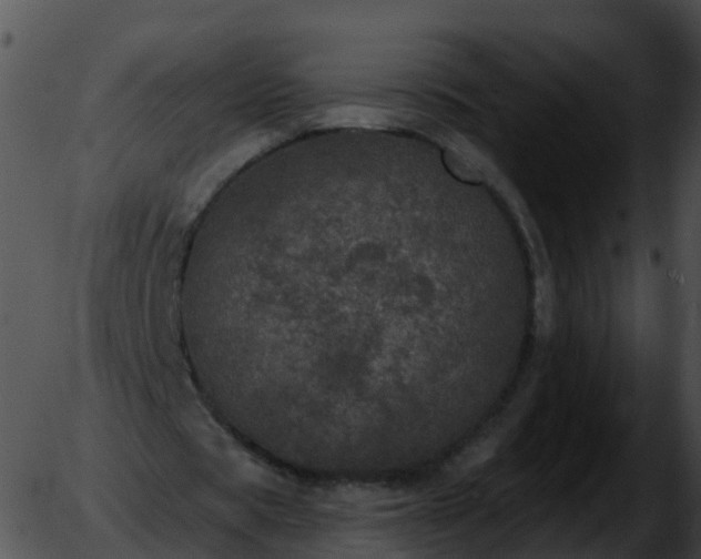 X0000051890529200507020058