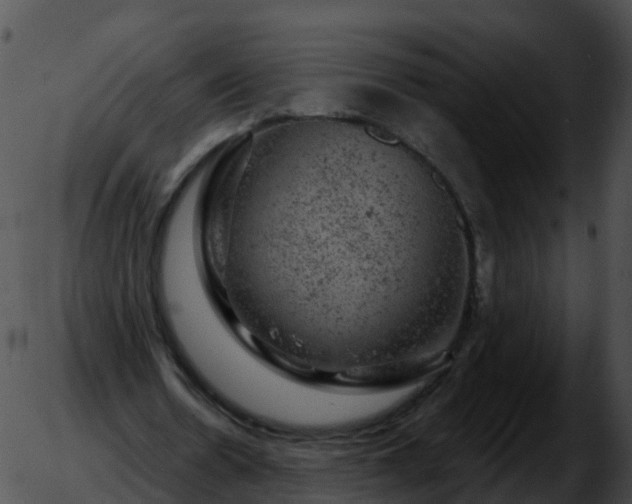 X0000051890530200507020058