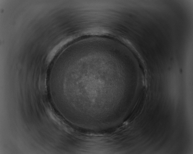 X0000051890531200507020058