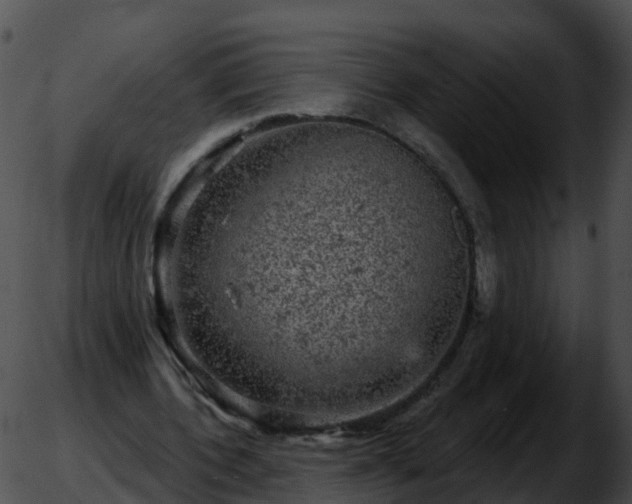 X0000051890532200507020058