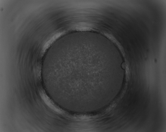 X0000051890533200507020058