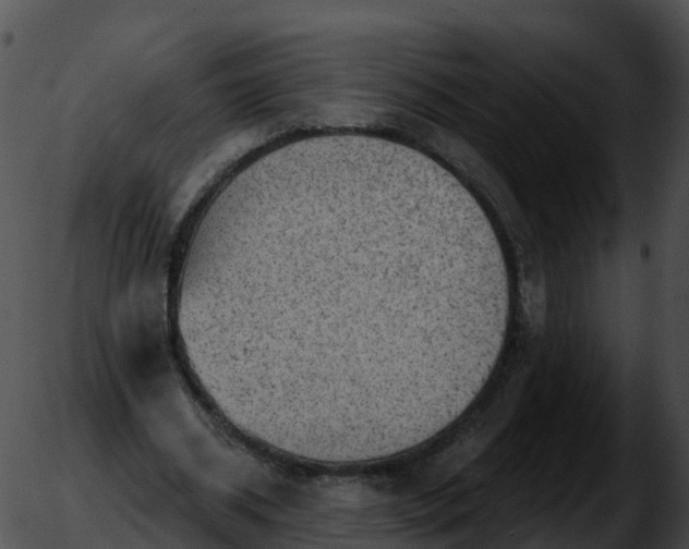 X0000051890534200507020058