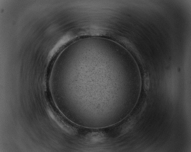 X0000051890536200507020058