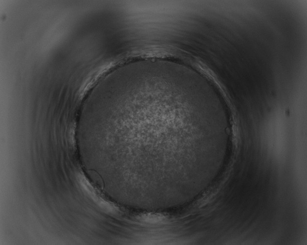 X0000051890537200507020058