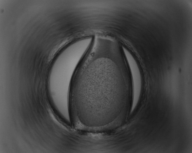 X0000051890538200507020058