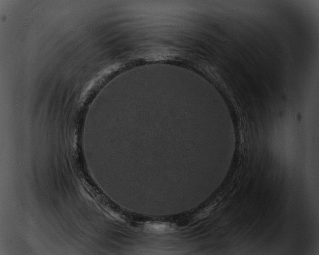 X0000051890539200507020058