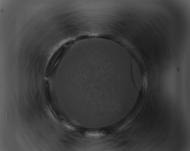 X0000051890540200507020058