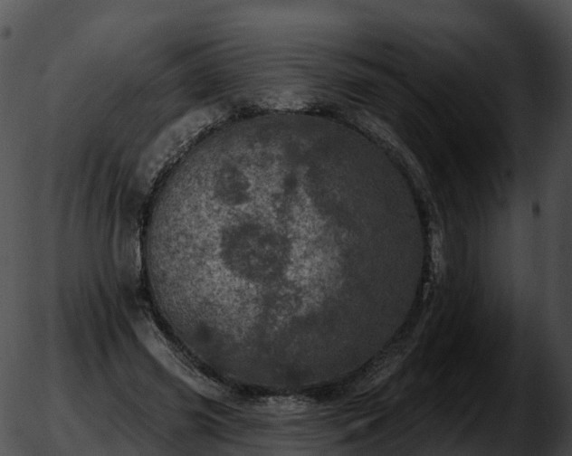 X0000051890541200507020058