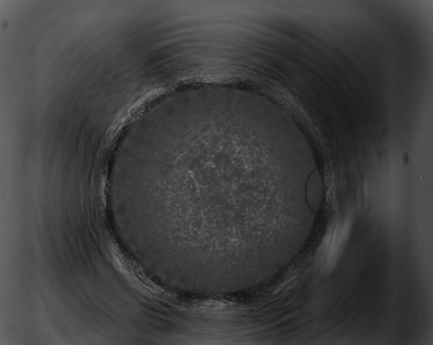 X0000051890542200507020058