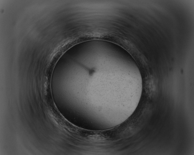 X0000051890544200507020058