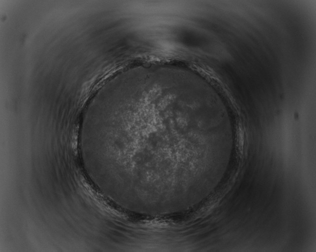 X0000051890545200507020058