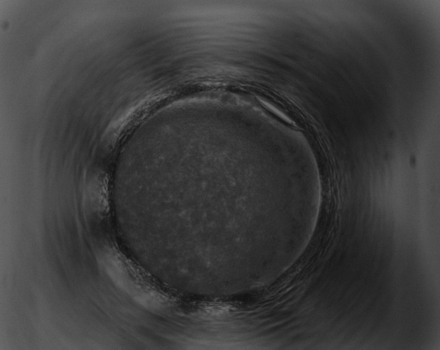 X0000051890547200507020058