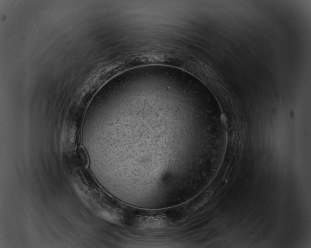 X0000051890548200507020058