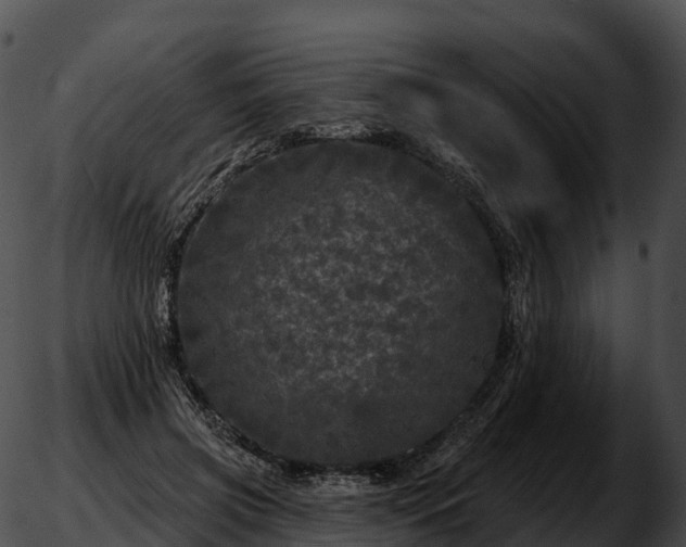 X0000051890549200507020058