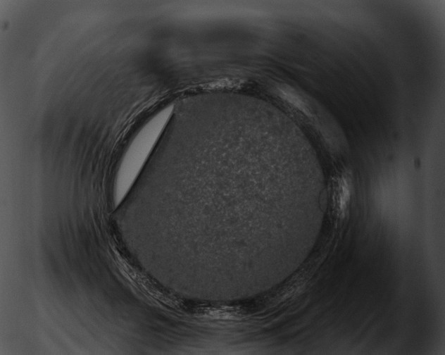 X0000051890550200507020058