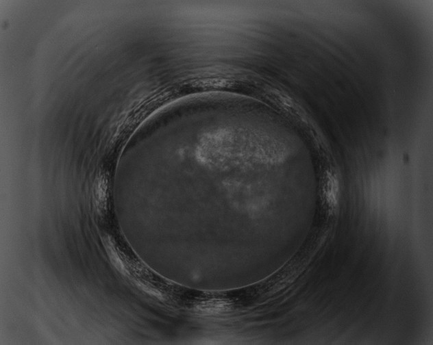 X0000051890551200507020058