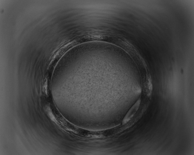 X0000051890552200507020058