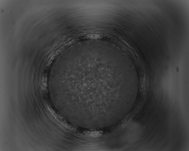 X0000051890553200507020058