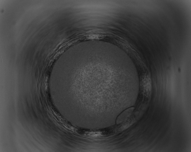 X0000051890554200507020058