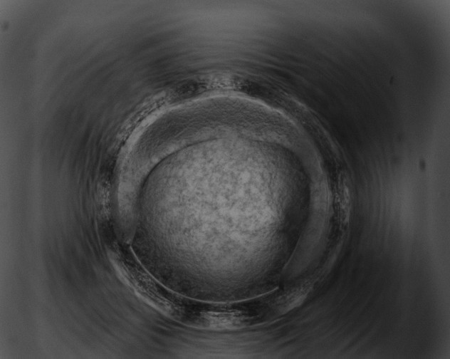 X0000051890556200507020058