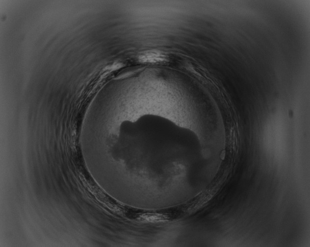 X0000051890557200507020058