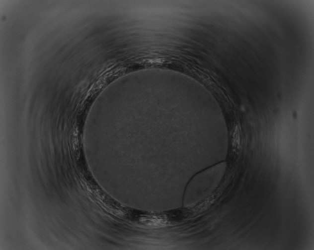 X0000051890559200507020058