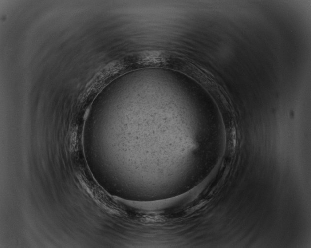 X0000051890560200507020058